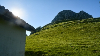 ZELATUN_13