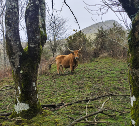 SANTA BARBARA-UNAMENDI_24