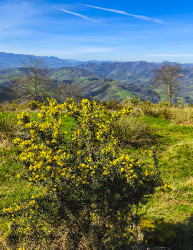 ALTZO MUÑO-LAPARMENDI_14