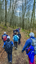 ALTZO MUÑO-LAPARMENDI_20