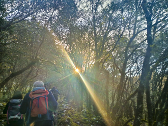 ALTZO MUÑO-LAPARMENDI_30