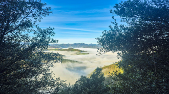 ALTZO MUÑO-LAPARMENDI_32