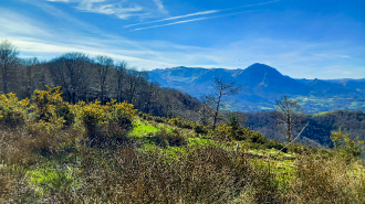 ALTZO MUÑO-LAPARMENDI_50