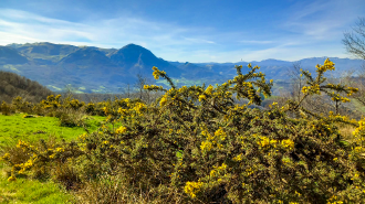 ALTZO MUÑO-LAPARMENDI_53