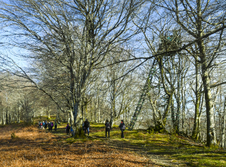 ALTZO MUÑO-LAPARMENDI_64