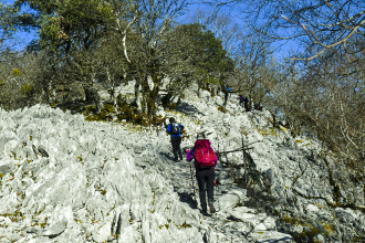 ALTZO MUÑO-LAPARMENDI_70