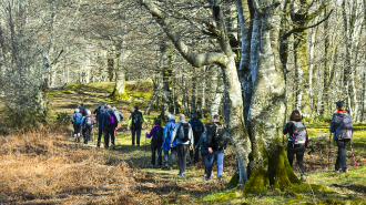 ALTZO MUÑO-LAPARMENDI_72