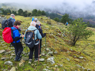 OAMENDI-ARRANOAITZ-ELORTXIKI_16