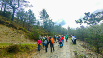 OAMENDI-ARRANOAITZ-ELORTXIKI_16