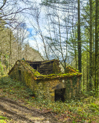 OAMENDI-ARRANOAITZ-ELORTXIKI_19