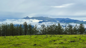 OAMENDI-ARRANOAITZ-ELORTXIKI_1