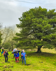 OAMENDI-ARRANOAITZ-ELORTXIKI_29