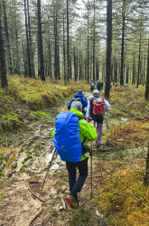 OAMENDI-ARRANOAITZ-ELORTXIKI_2