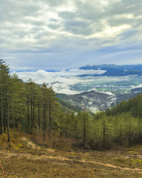 OAMENDI-ARRANOAITZ-ELORTXIKI_33