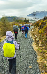 OAMENDI-ARRANOAITZ-ELORTXIKI_34