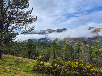 OAMENDI-ARRANOAITZ-ELORTXIKI_35