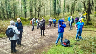 OAMENDI-ARRANOAITZ-ELORTXIKI_5