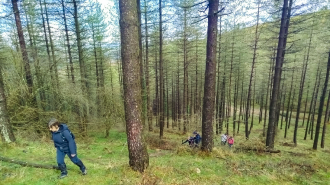 OAMENDI-ARRANOAITZ-ELORTXIKI_6