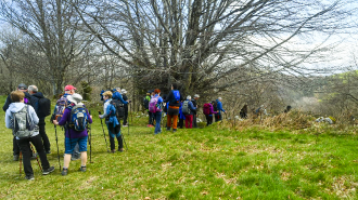 ITURRIOTZ-HERNIO-ALBIZTUR_60